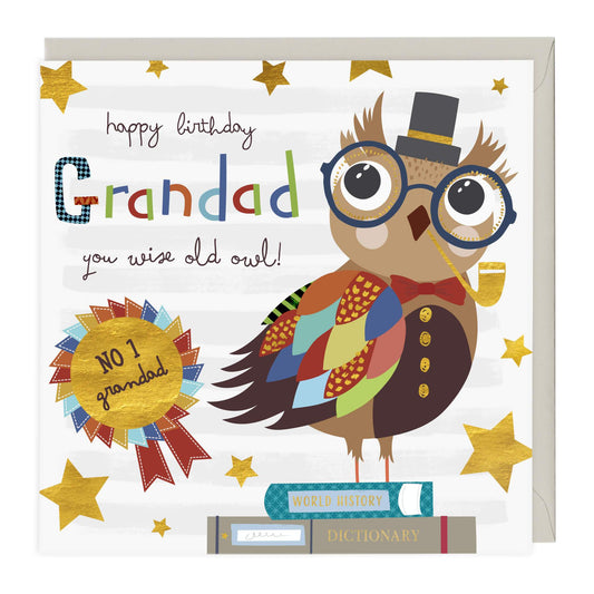 Wise Old Owl Grandad Birthday Card