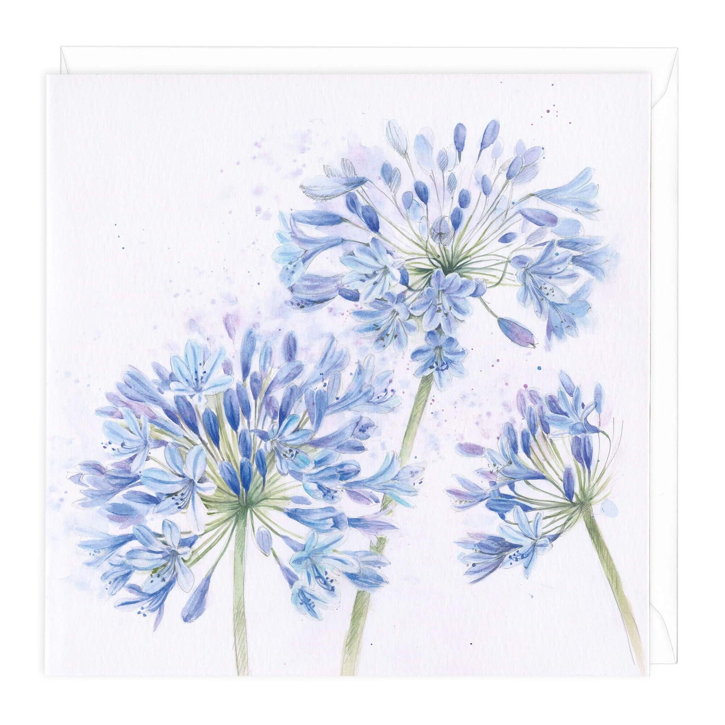 Agapanthus Floral Art Card