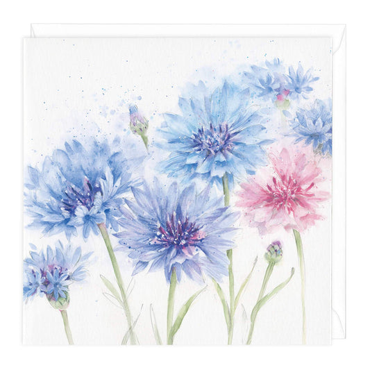 Cornflowers Floral Card
