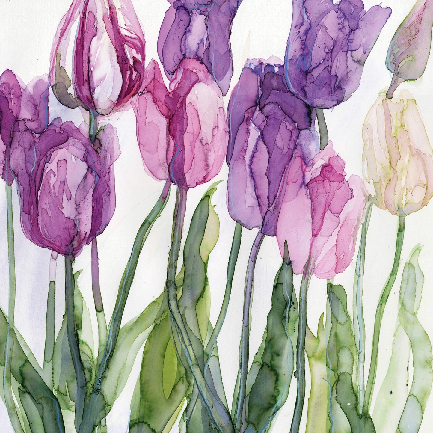 Purple Tulips Greeting Card