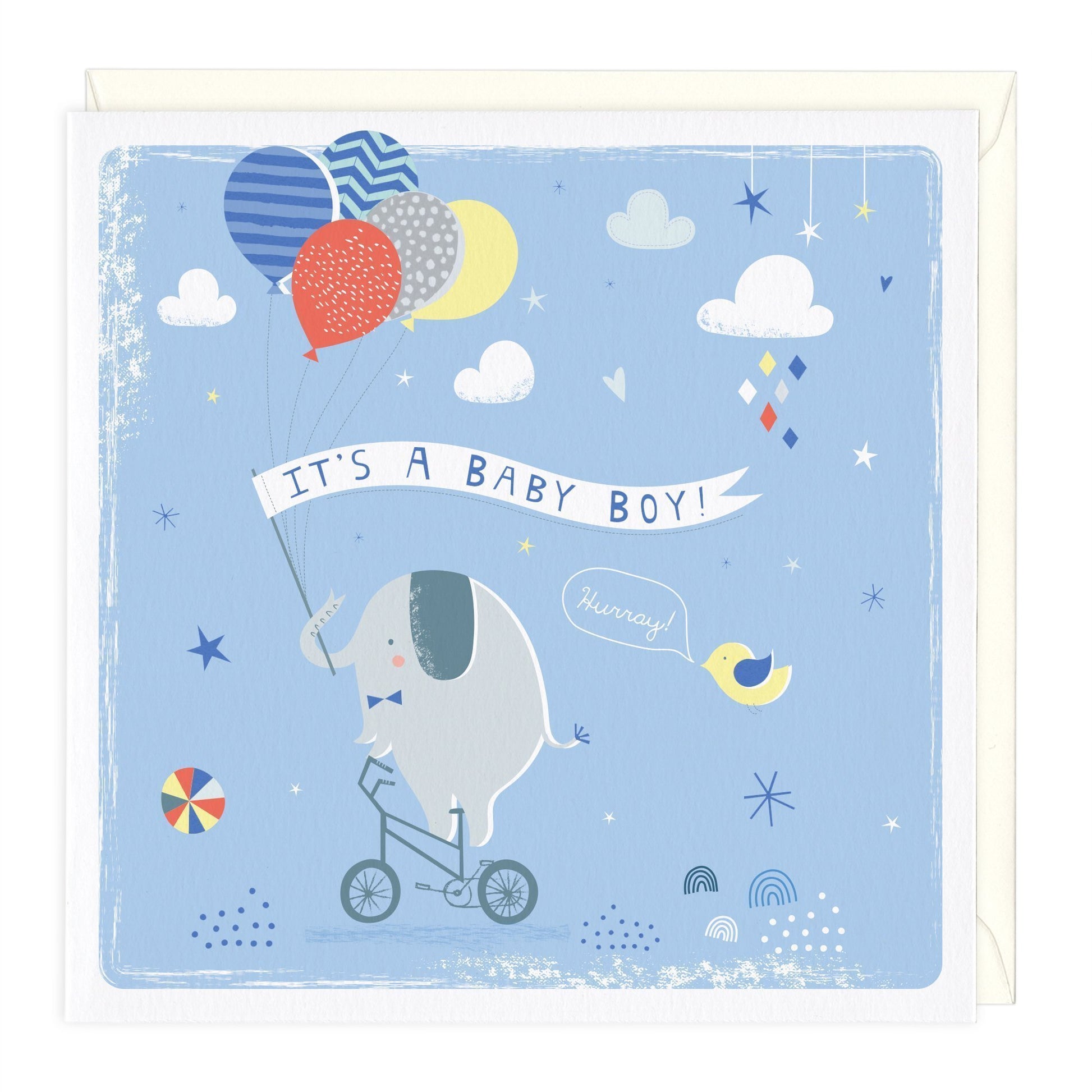 Elephant And Chick Baby Boy Card