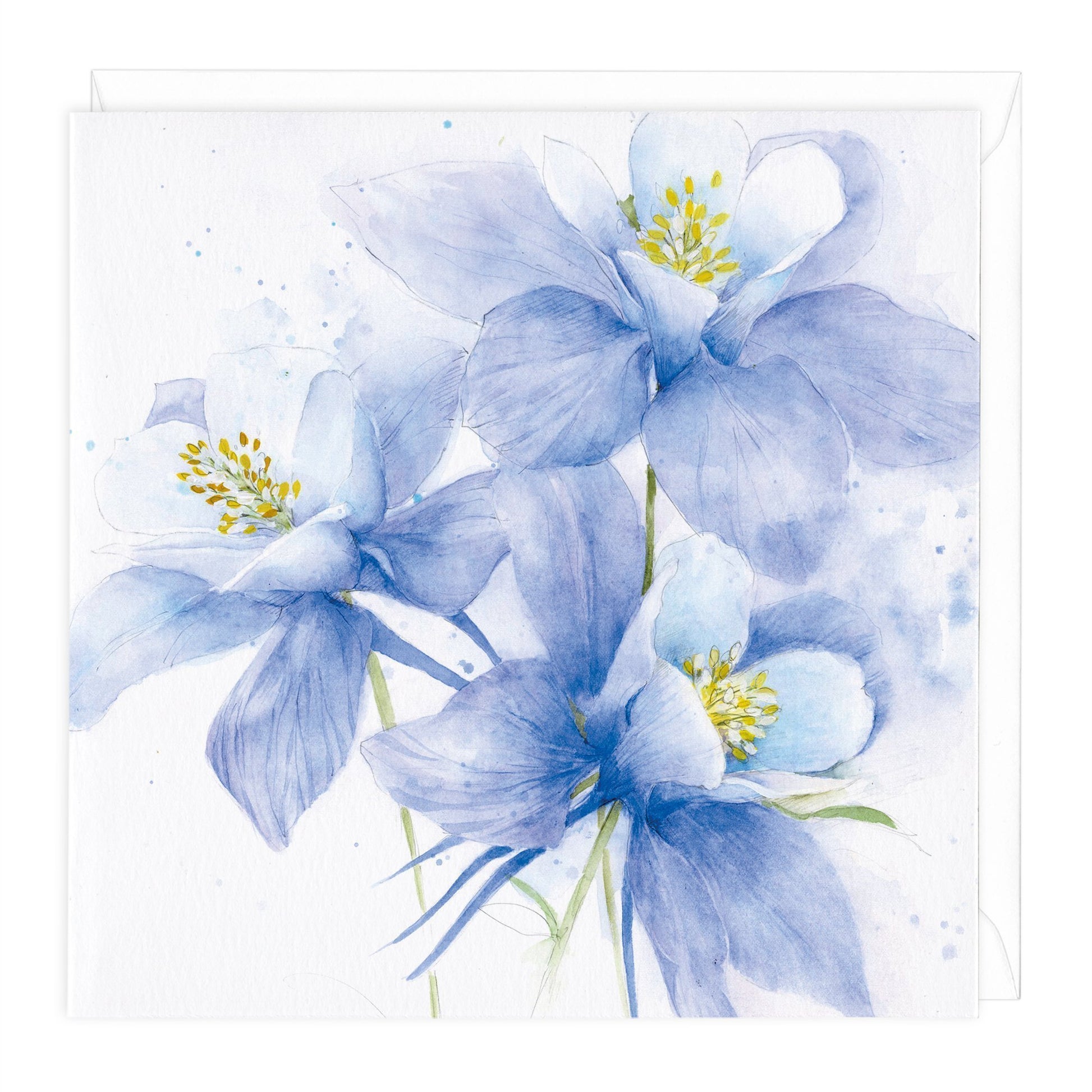 Aquilegia Floral Art Card