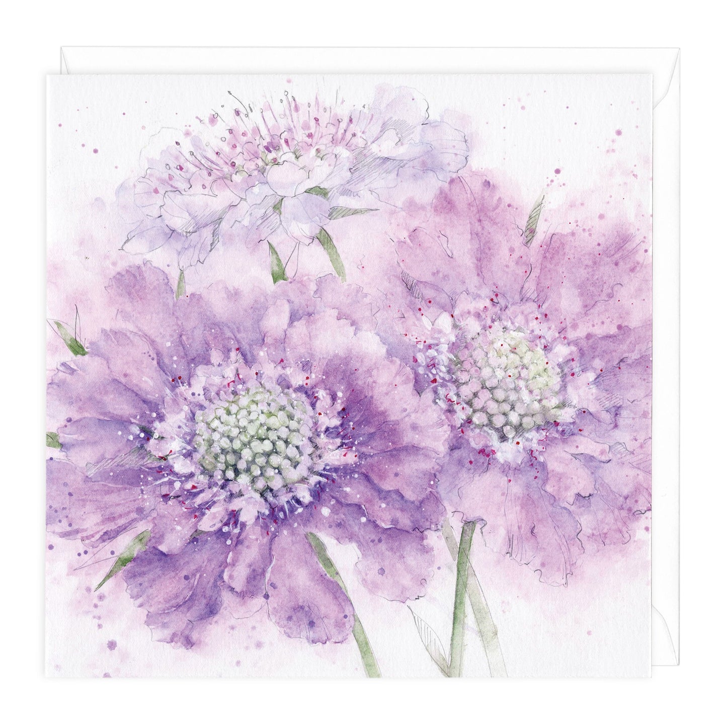 Scabious Floral Art Card