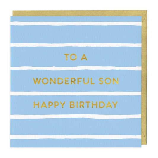 Wonderful Son Birthday Card