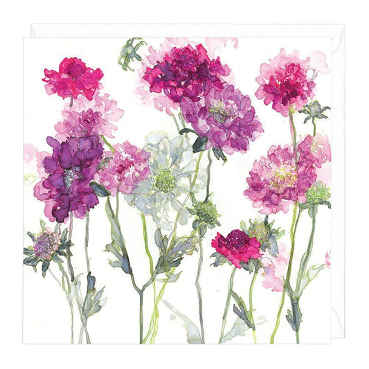 Mixed Scabious Floral Greeting Card