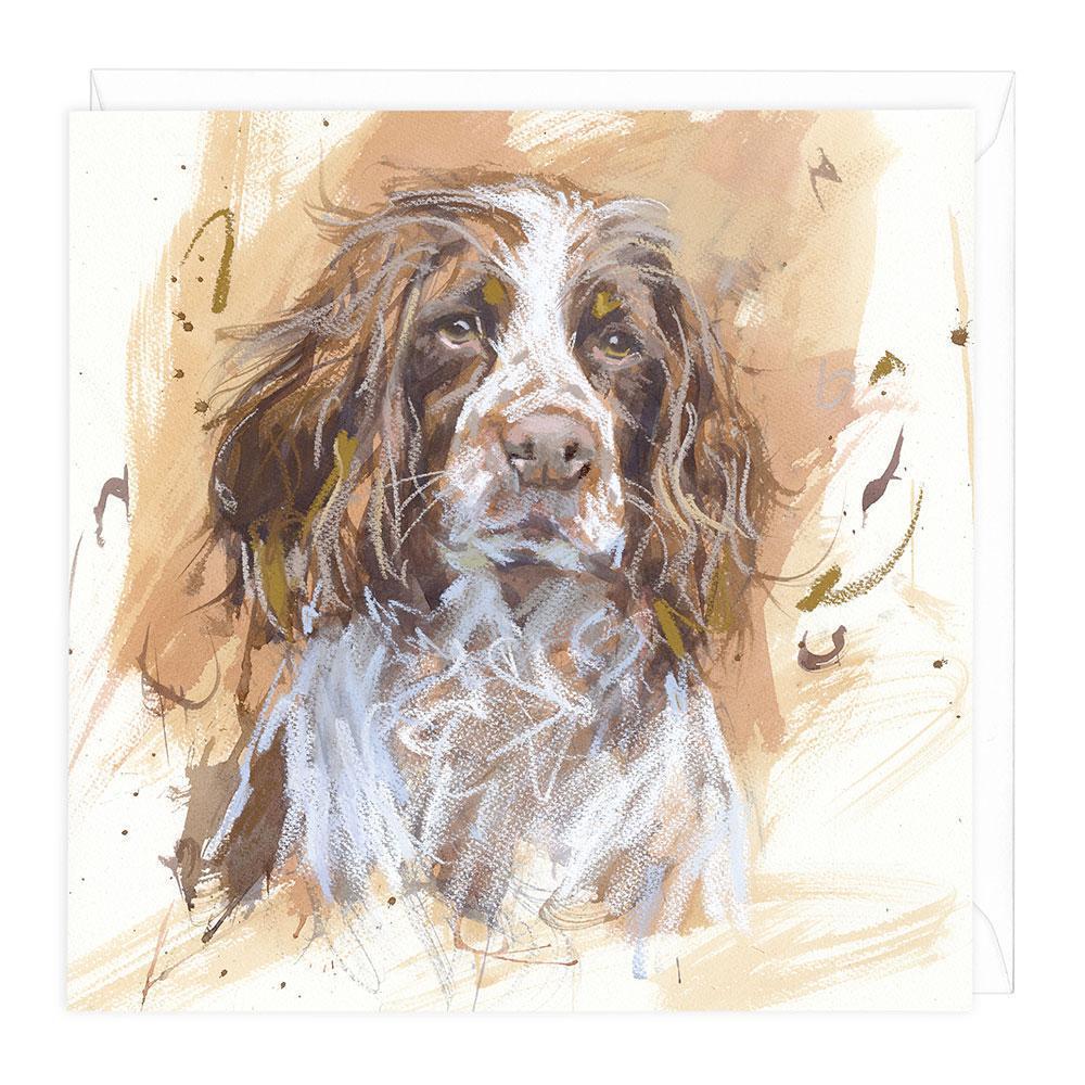 Springer Spaniel 1 Dog Greeting Card