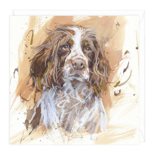 Springer Spaniel 1 Dog Greeting Card