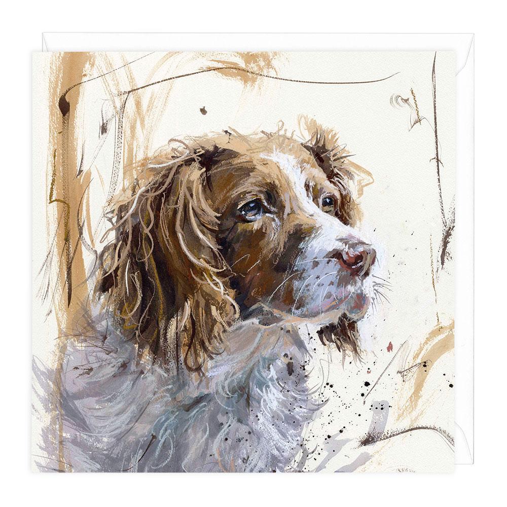 Springer Spaniel 2 Dog Greeting Card