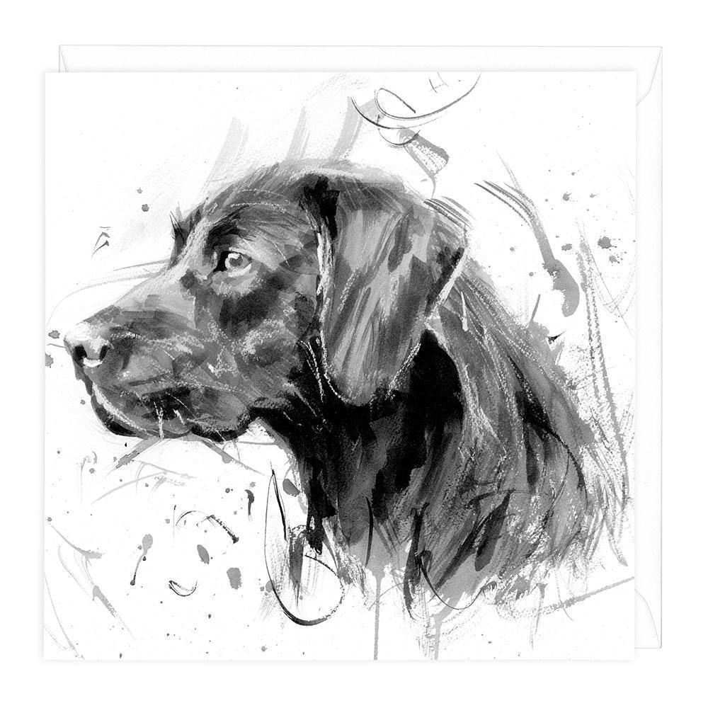 Black Labrador Greeting Card