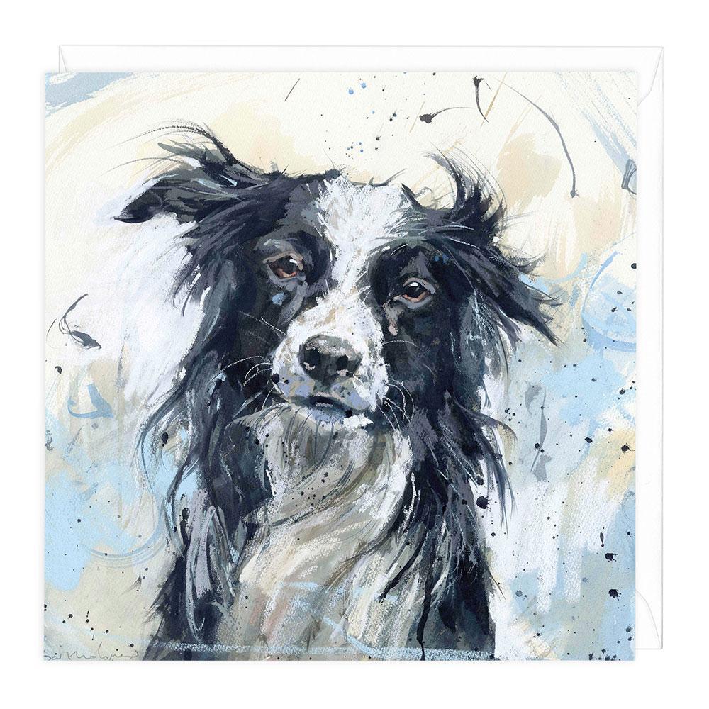 Border Collie Dog Greeting Card