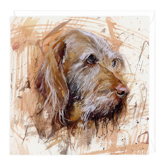 Wirehaired Vizsla Greeting Card