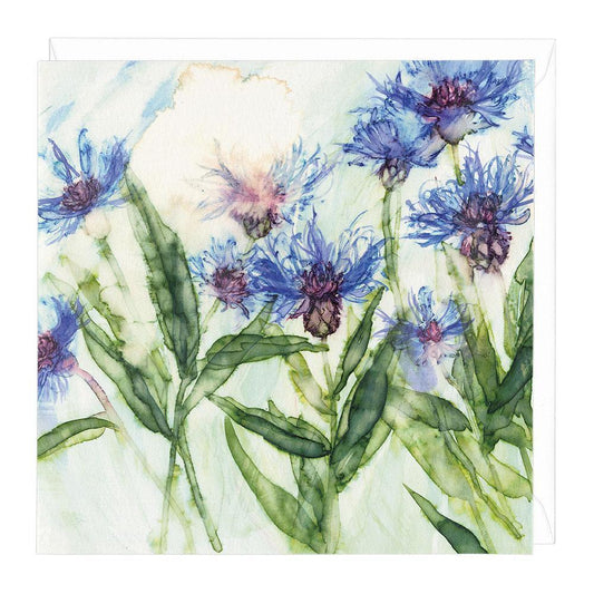 w415-cornflower-floral-greetings-card-by-jess-trotman-with-envelope.jpg